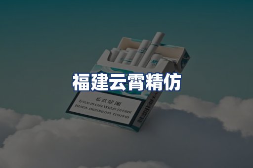 福建云霄精仿